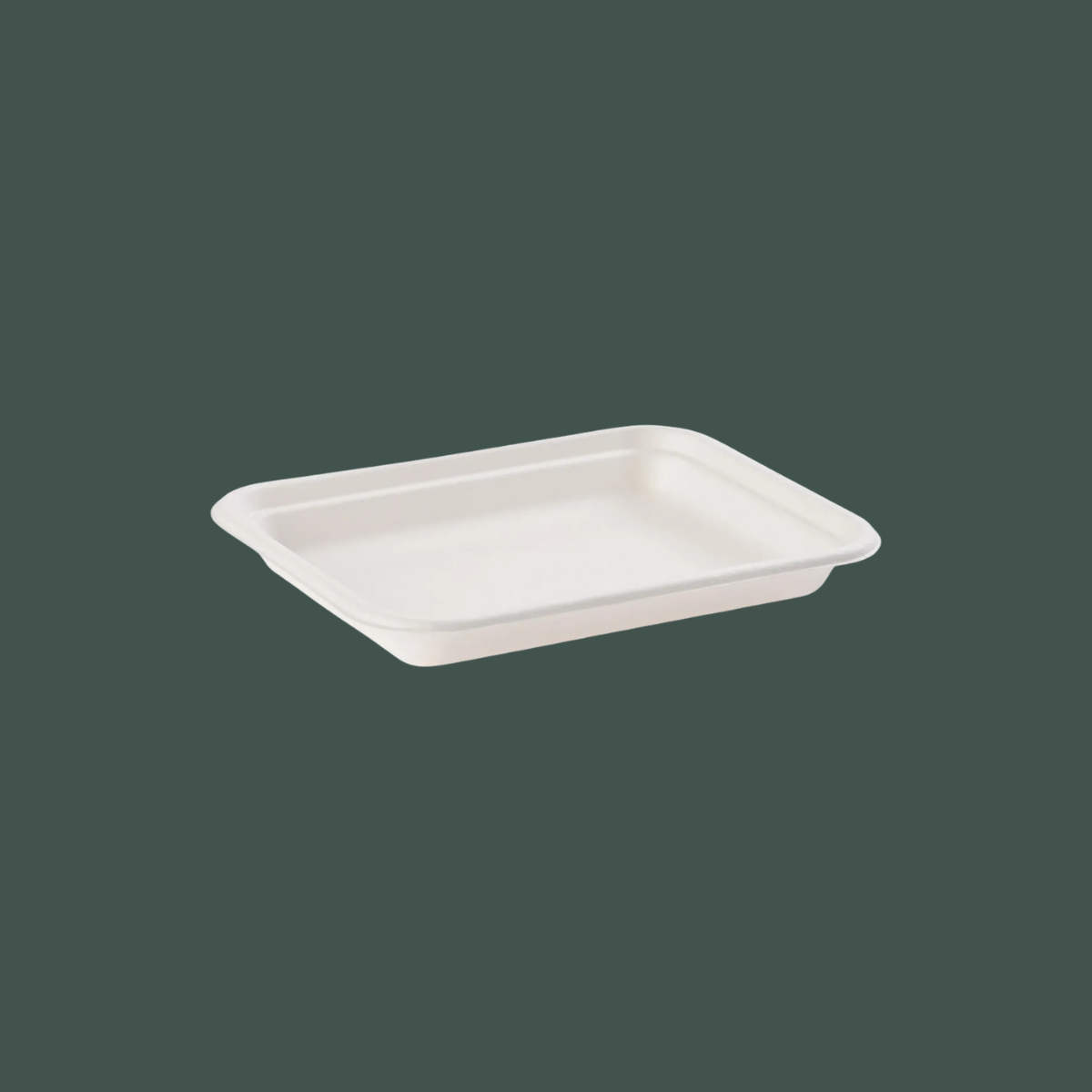 Charola rectangular 9x5"