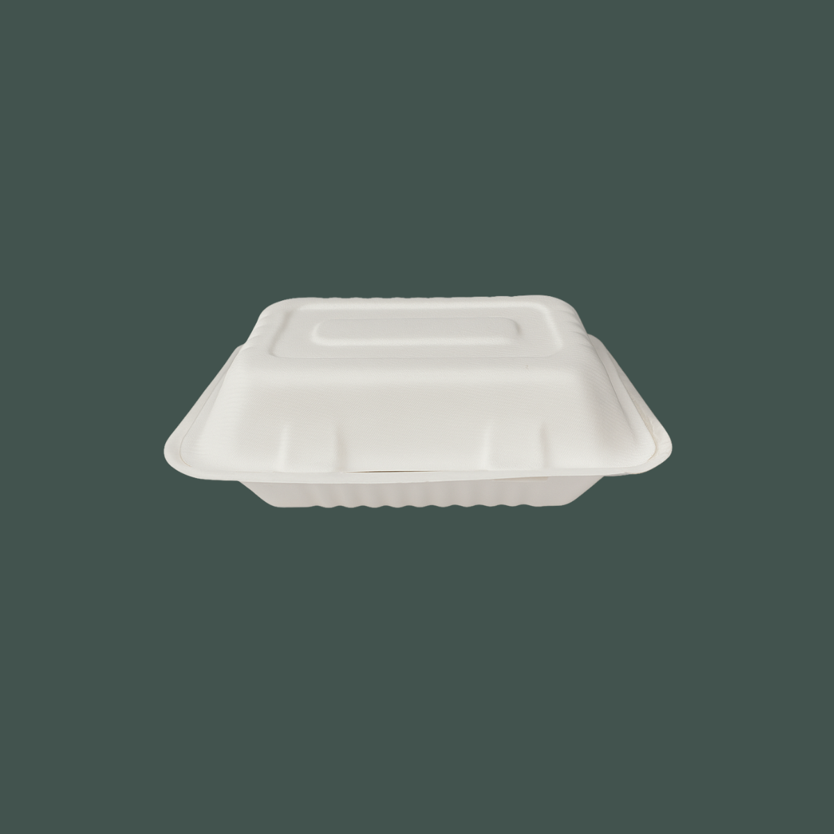 Contenedor liso 9x6"
