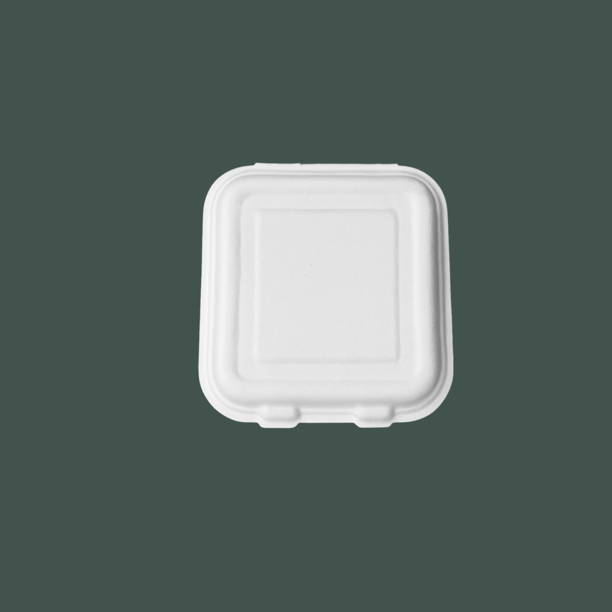 Contenedor liso 8x8"