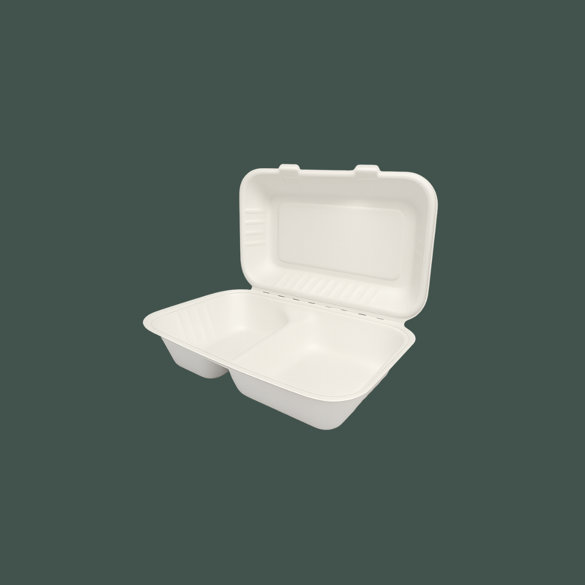Contenedor con 2 divisiones 9x6"