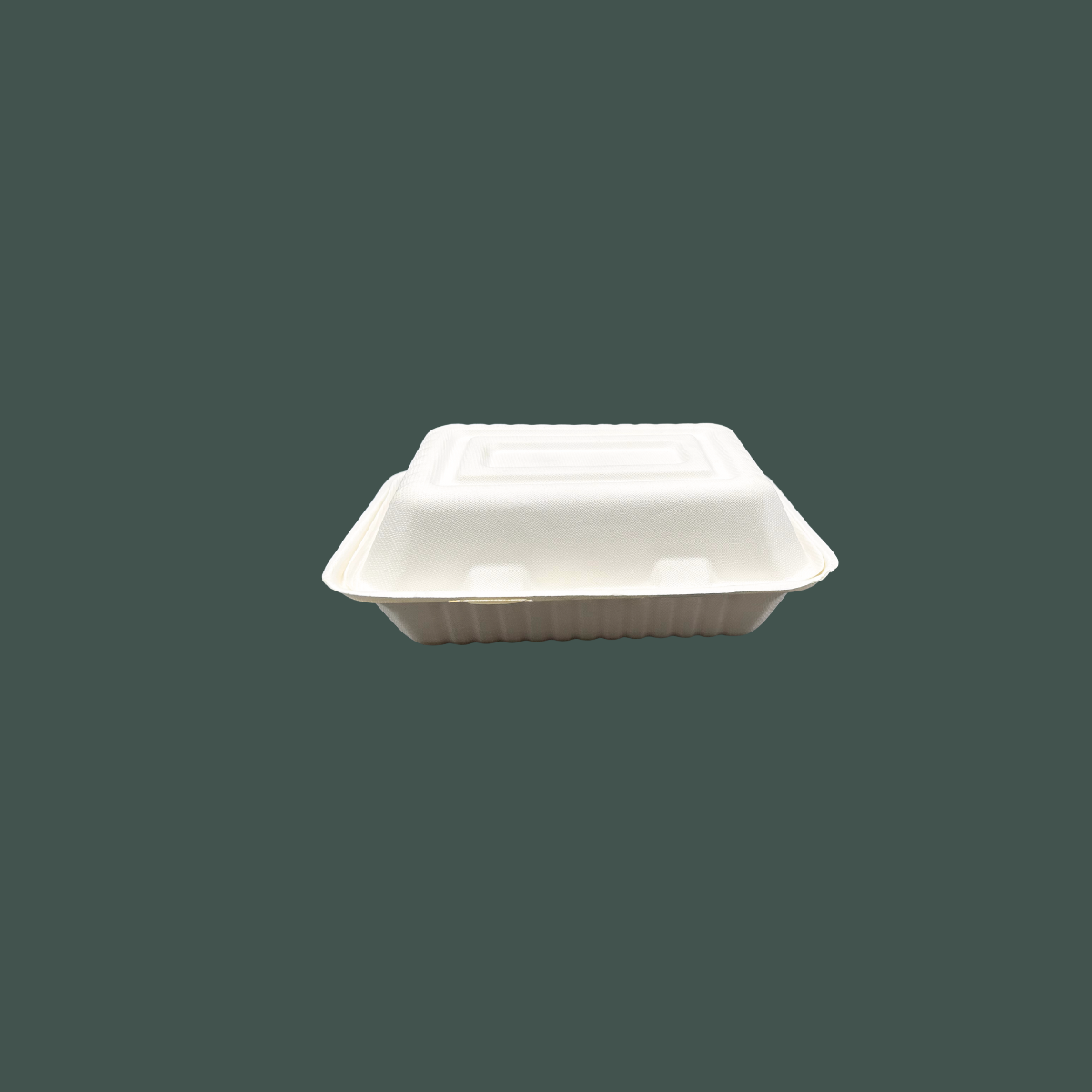 Contenedor liso 9x6"