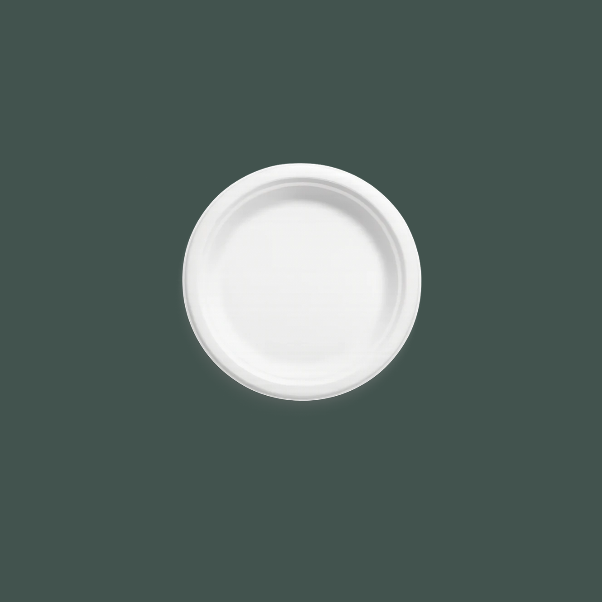 Plato redondo 10"